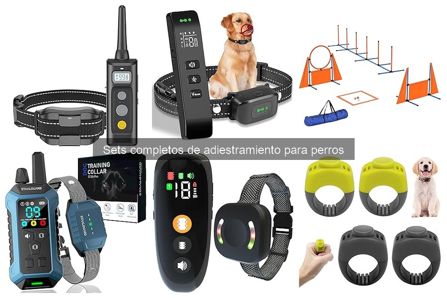Mitos sobre sets de adiestramiento para perros desmentidos
