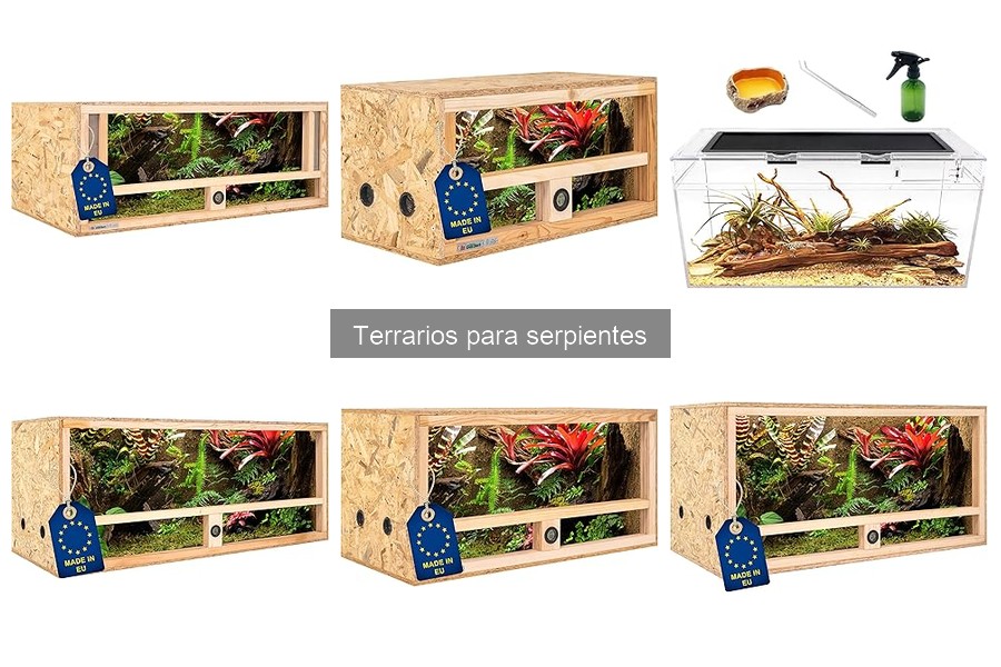 ¿Necesito un terrario cerrado para serpientes? Guía útil