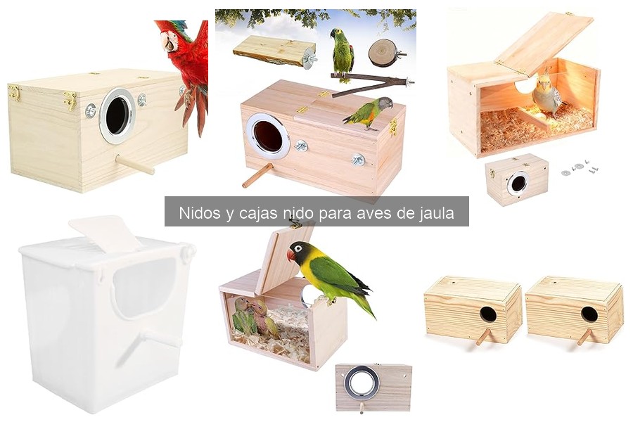 Nidos y Cajas Nido para Aves de Jaula: Funciones y Beneficios