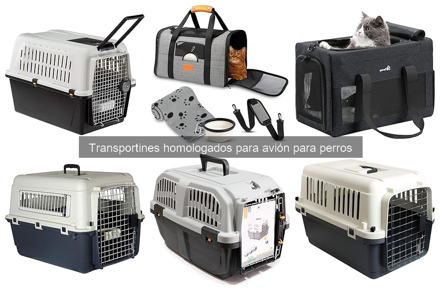 Normativas de Aerolíneas sobre Transportines para Perros