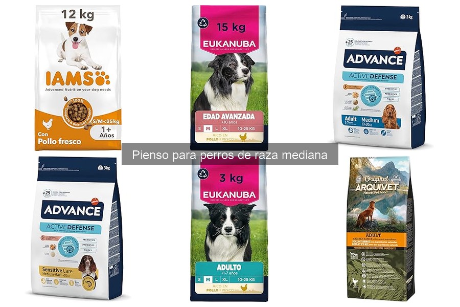 Nutrientes esenciales en el pienso para perros de raza mediana