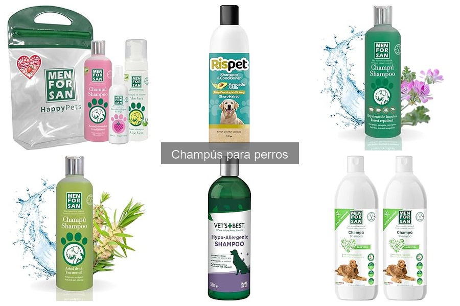 Ofertas en champús para perros: descuentos y promociones