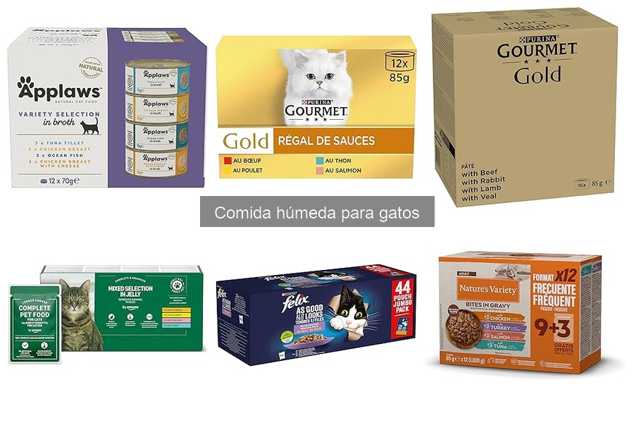 Ofertas en comida húmeda para gatos: ¡Ahorra hoy!