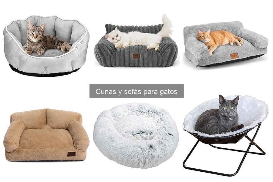 Ofertas en cunas y sofás para gatos que no te puedes perder