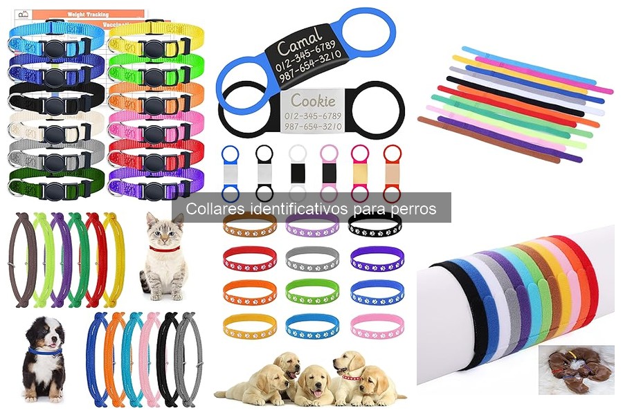 Ofertas y descuentos en collares identificativos para perros