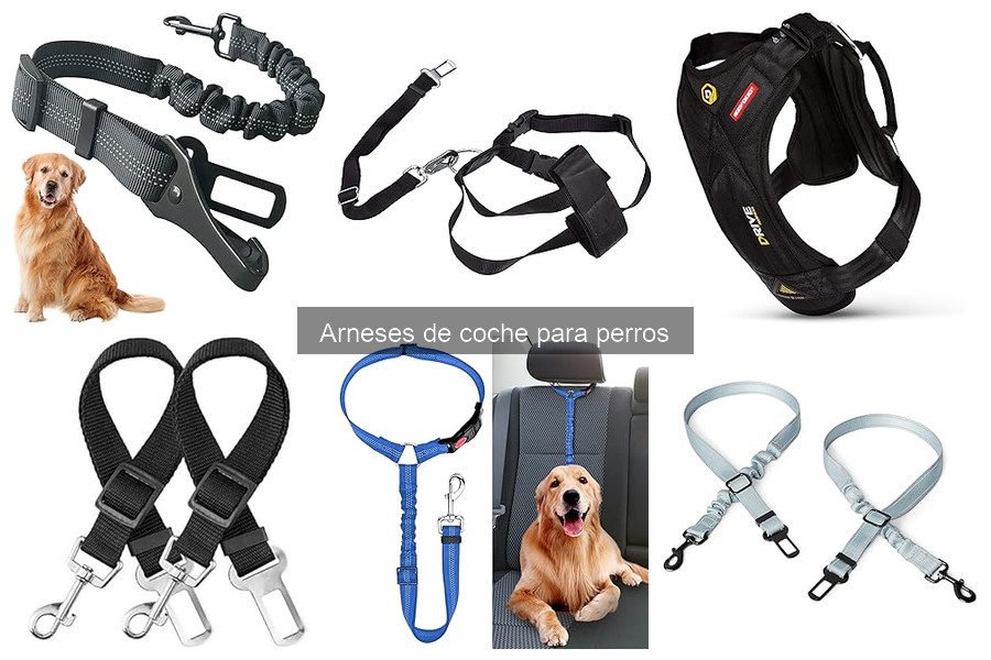 Ofertas y precios de arneses de coche para perros