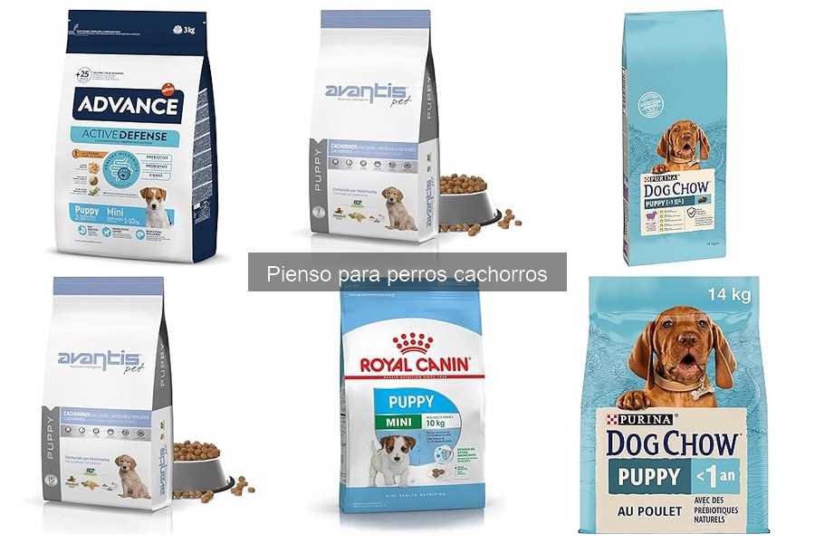 Ofertas y precios de pienso para perros cachorros