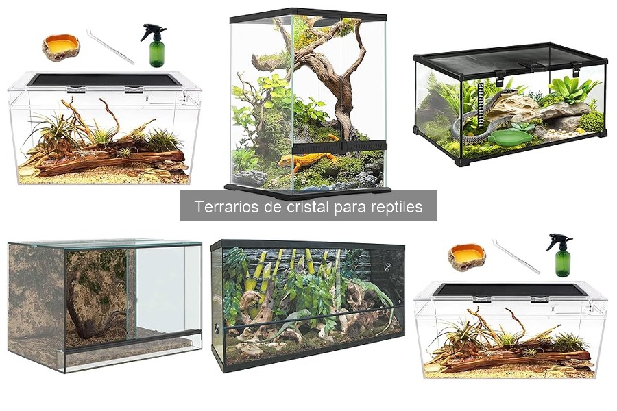 Ofertas y precios de terrarios de cristal para reptiles