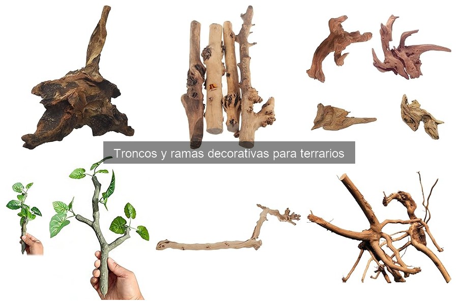 Ofertas y precios de troncos y ramas para terrarios