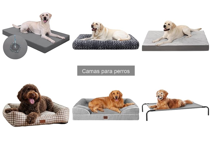 Opciones de camas para perros al aire libre: comodidad y seguridad