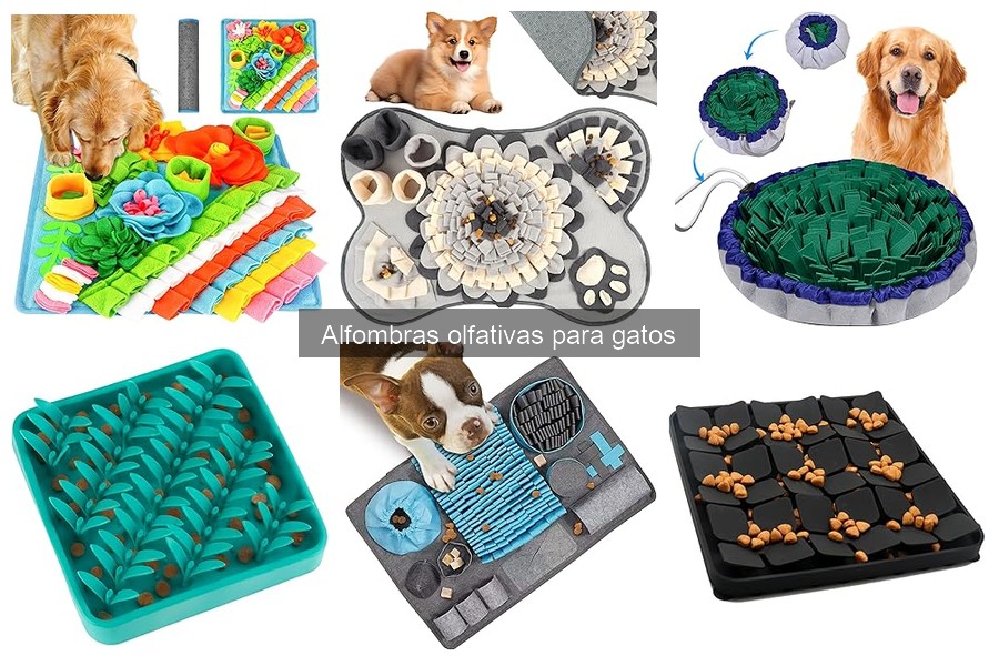 Opiniones de alfombras olfativas para gatos: experiencias reales