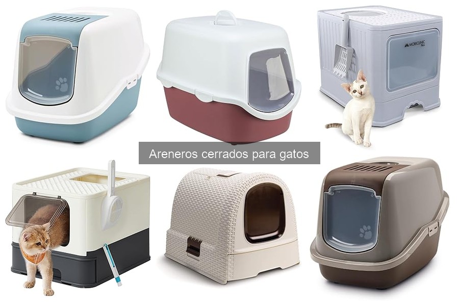 Opiniones de areneros cerrados para gatos: ¿cuál elegir?