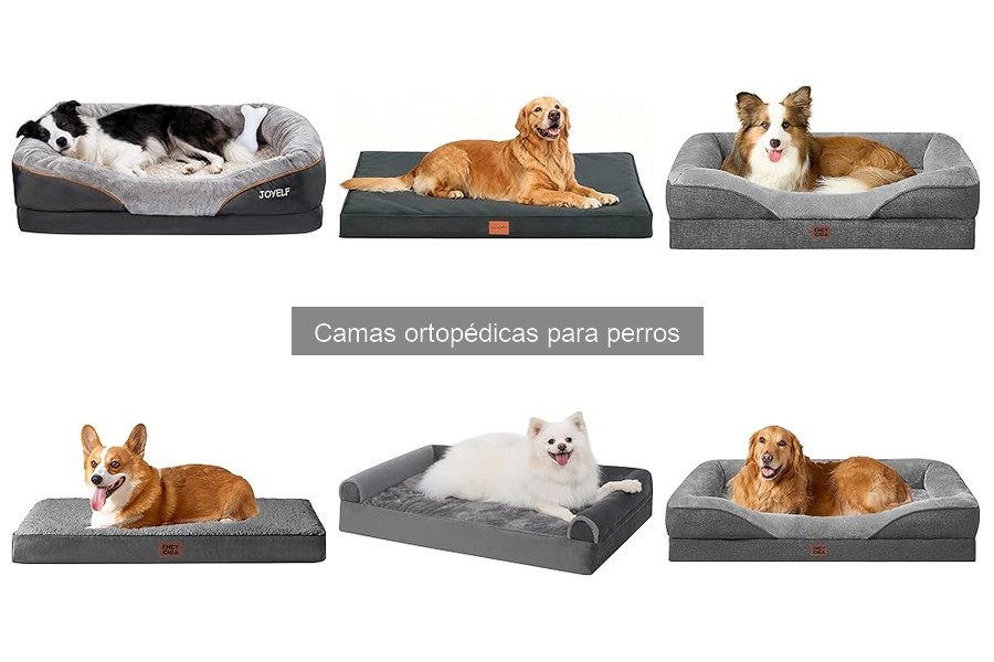 Opiniones de camas ortopédicas para perros: experiencias reales