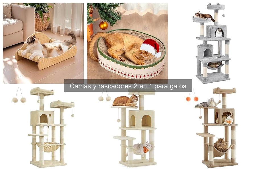 Opiniones de camas y rascadores 2 en 1 para gatos