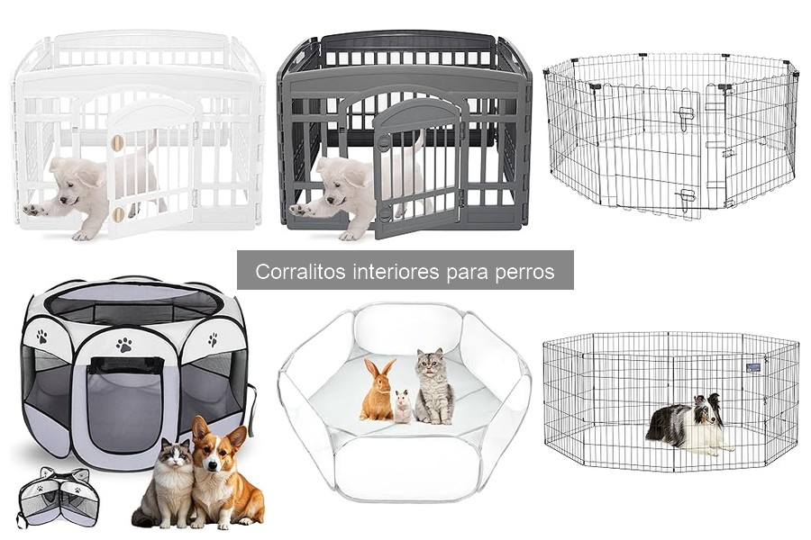 Opiniones de Corralitos Interiores para Perros: Reseñas y Más