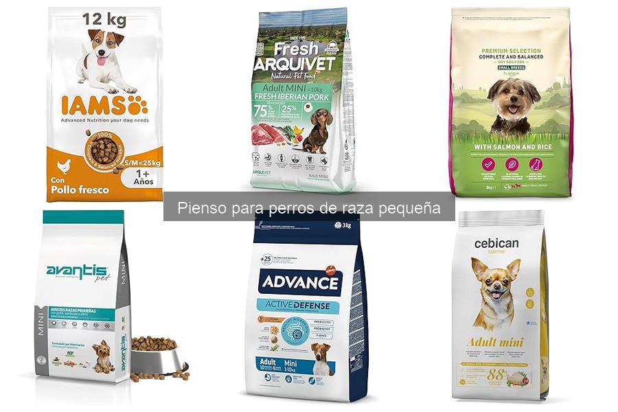 Opiniones de pienso para perros de raza pequeña