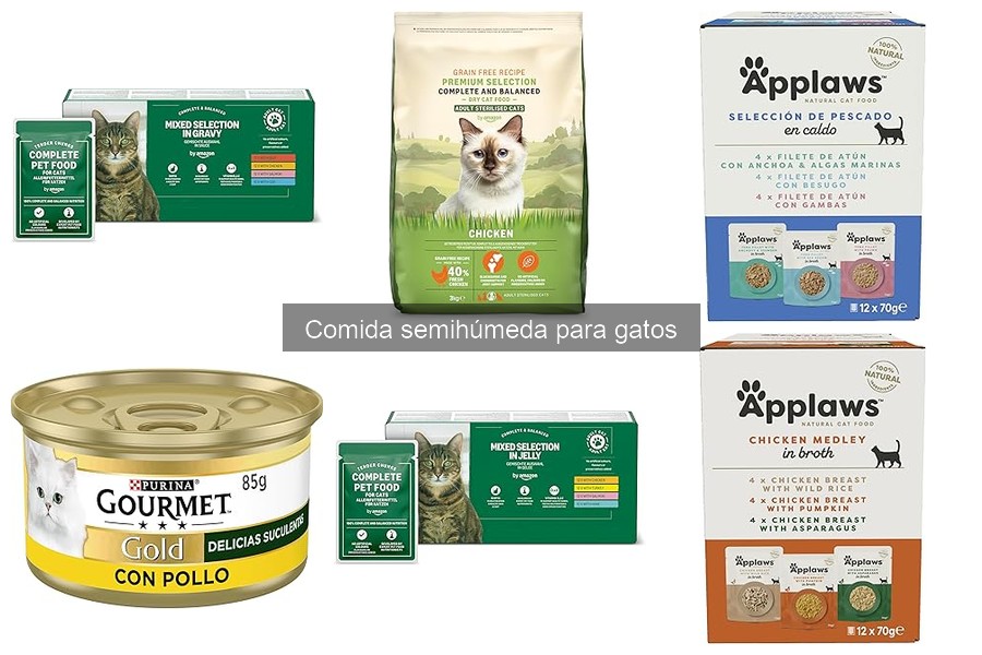 Opiniones de veterinarios sobre comida semihúmeda para gatos