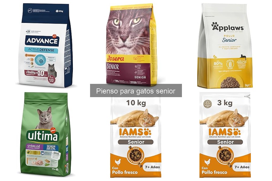 Opiniones de veterinarios sobre pienso para gatos senior