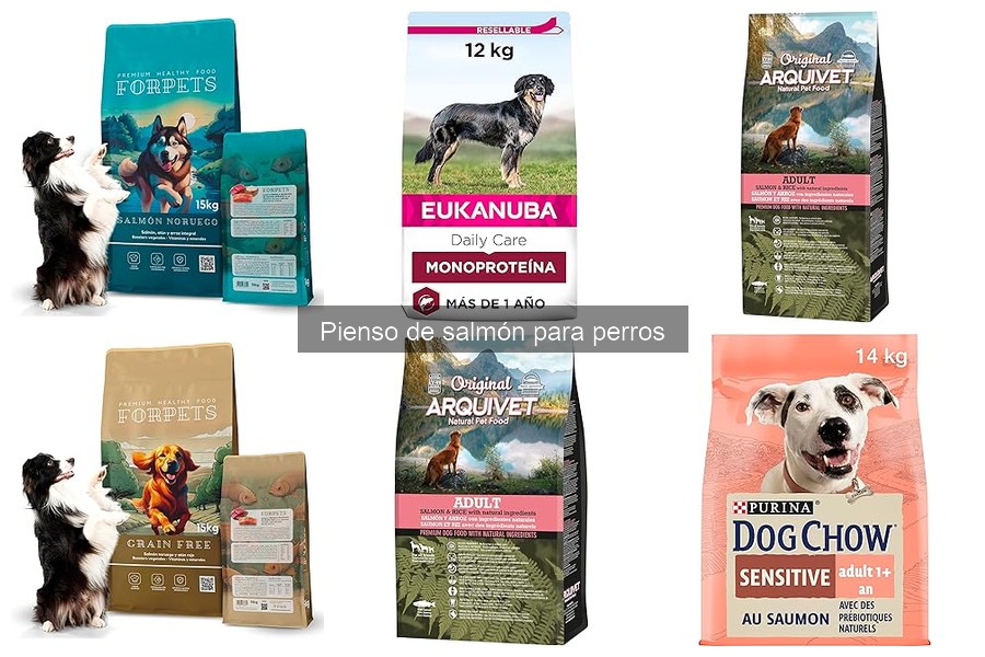 Opiniones del pienso de salmón para perros: ¿vale la pena?