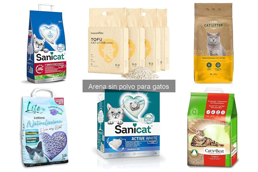 Opiniones sobre arena sin polvo para gatos: testimonios reales