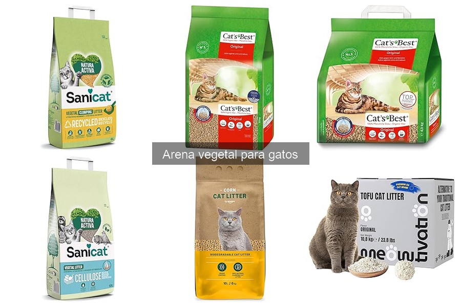 Opiniones sobre arena vegetal para gatos: Testimonios reales