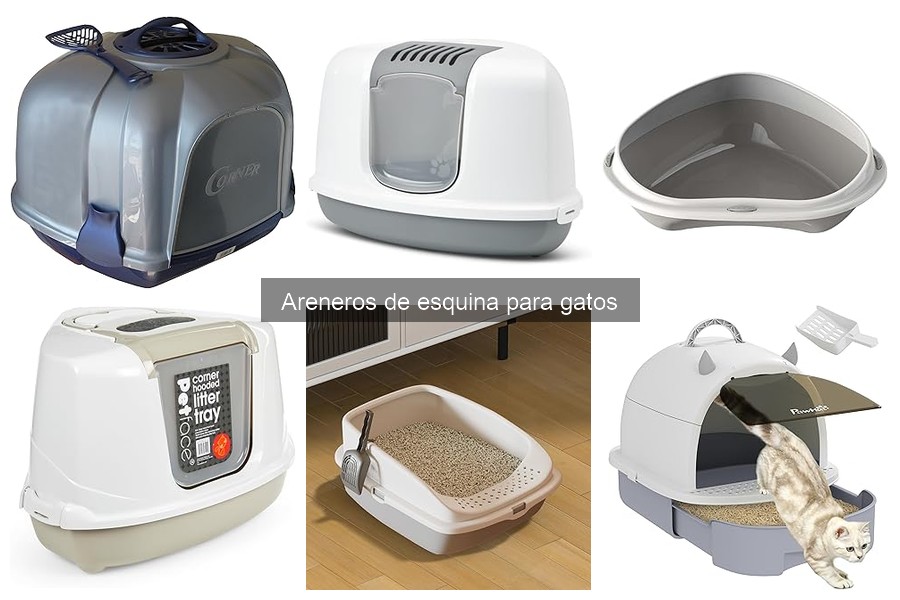 Opiniones sobre Areneros de Esquina para Gatos
