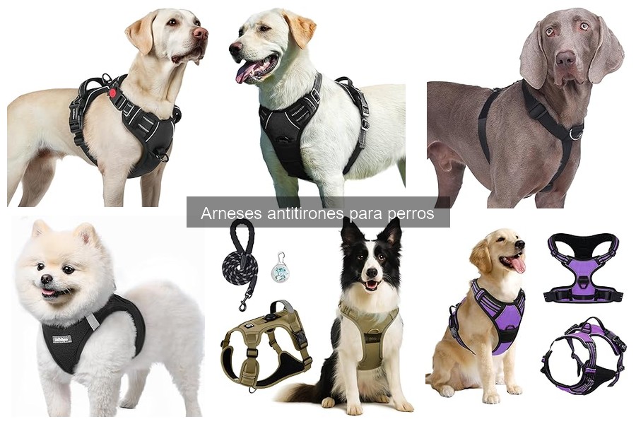 Opiniones sobre arneses antitirones para perros