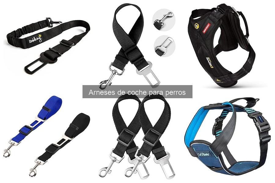 Opiniones sobre Arneses de Coche para Perros: 2023