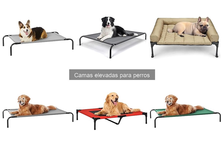 Opiniones sobre camas elevadas para perros: ¿Valen la pena?