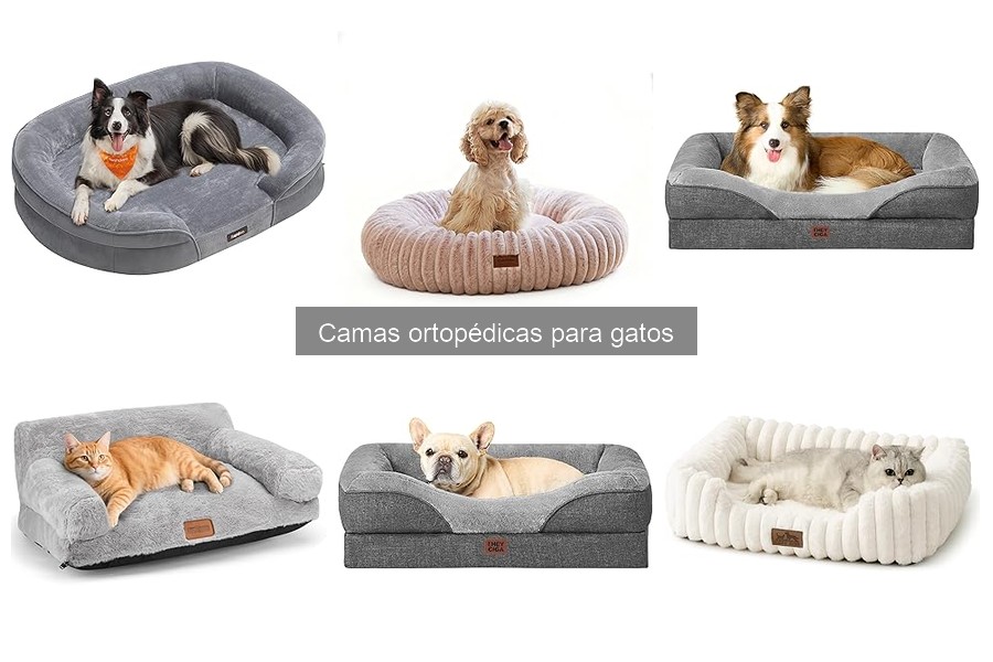 Opiniones sobre camas ortopédicas para gatos | Reseñas 2023