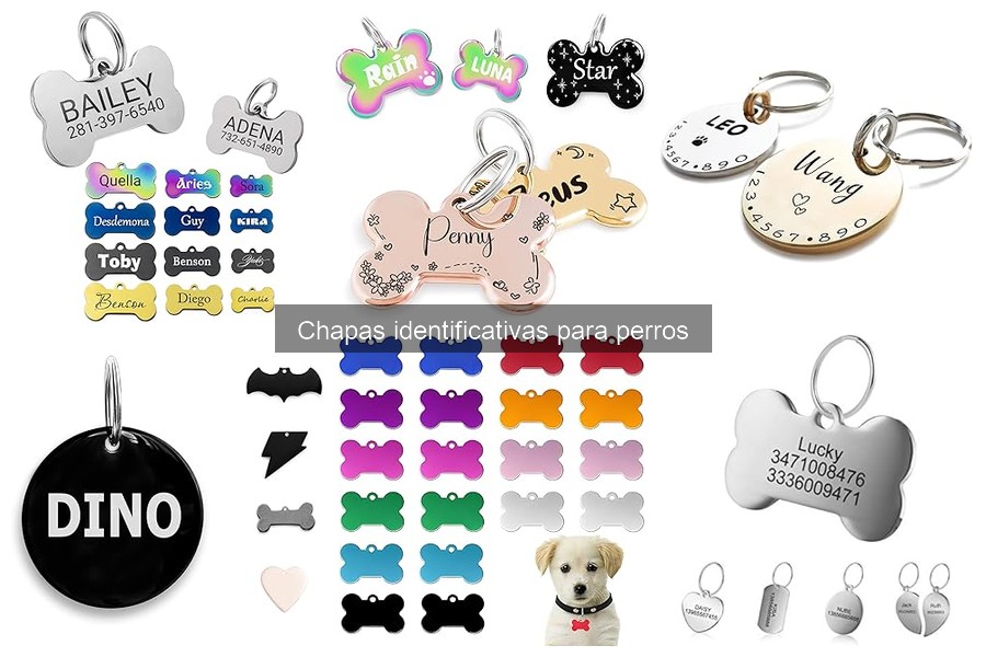 Opiniones sobre chapas identificativas para perros populares