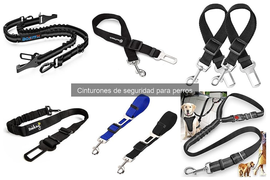 Opiniones sobre cinturones de seguridad para perros
