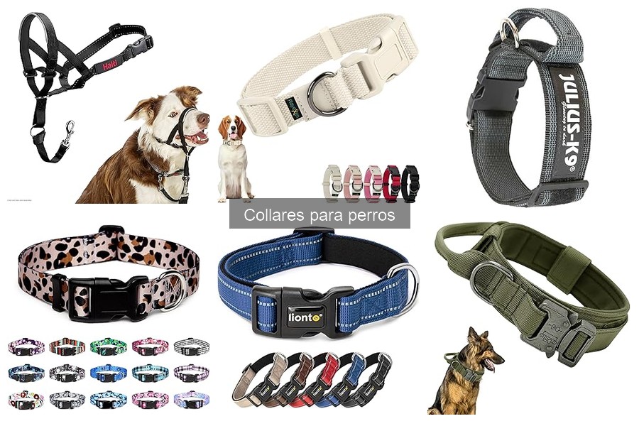 Opiniones sobre collares de adiestramiento para perros