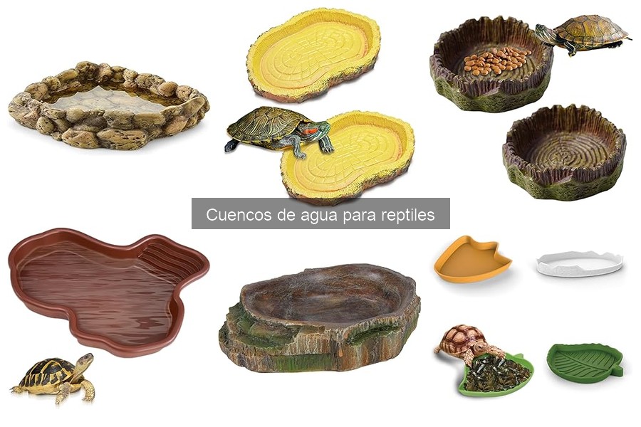 Opiniones sobre cuencos de agua para reptiles: ¿Cuál elegir?