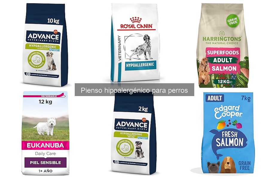 Opiniones sobre el pienso hipoalergénico para perros