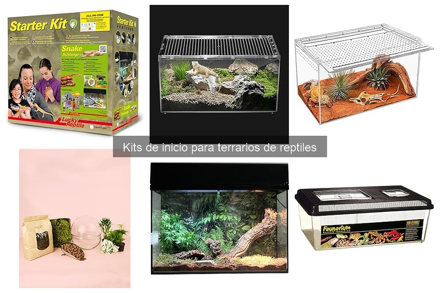Opiniones sobre Kits de Inicio para Terrarios de Reptiles