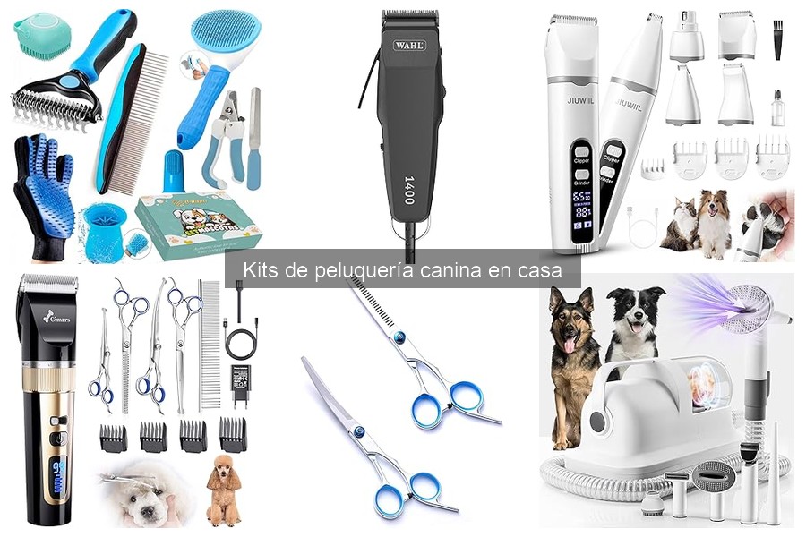 Opiniones sobre Kits de Peluquería Canina en Casa