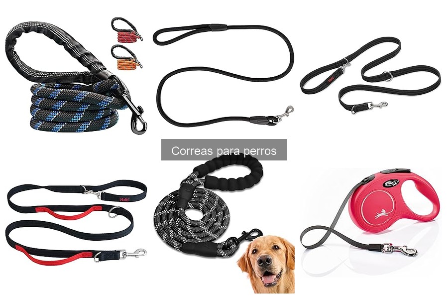 Opiniones sobre las correas para perros de marca X