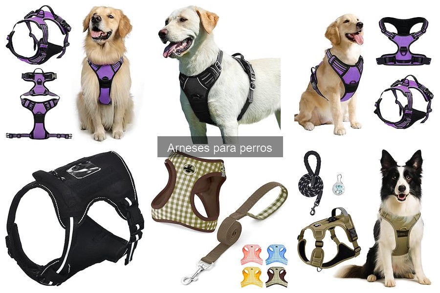 Opiniones sobre los mejores arneses para perros en 2023