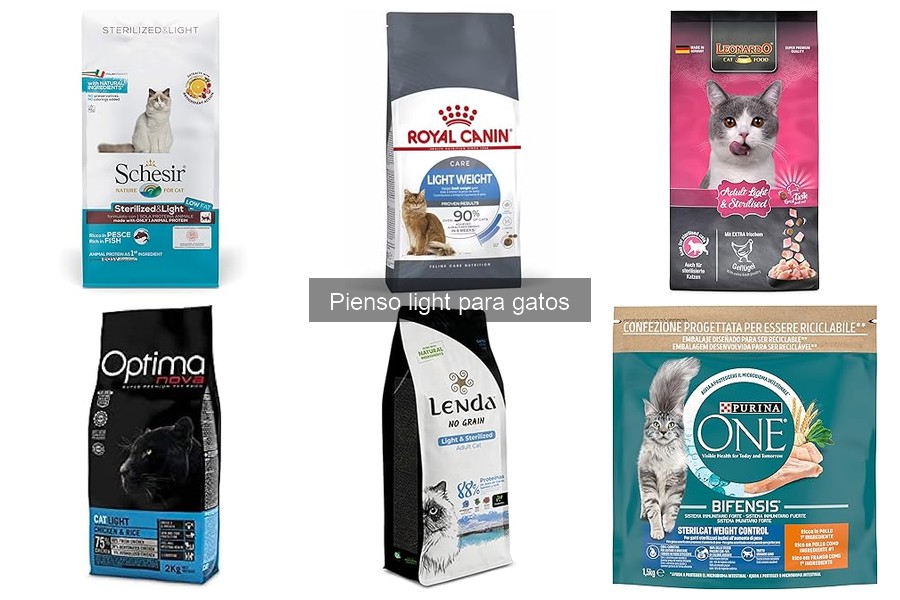 Opiniones sobre los mejores piensos light para gatos