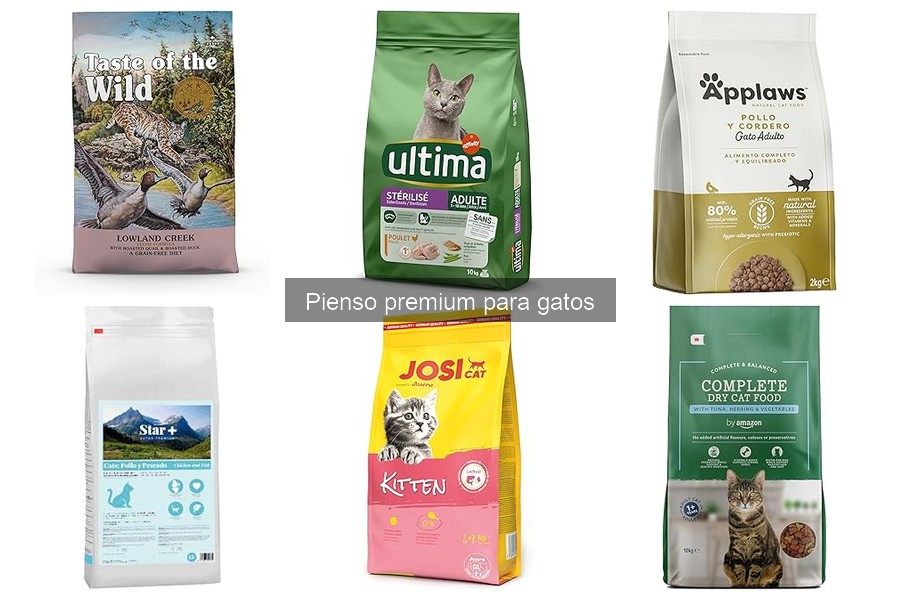Opiniones sobre los mejores piensos premium para gatos