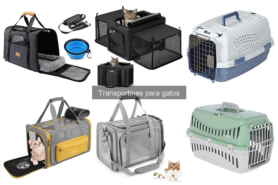 Opiniones sobre los mejores transportines para gatos