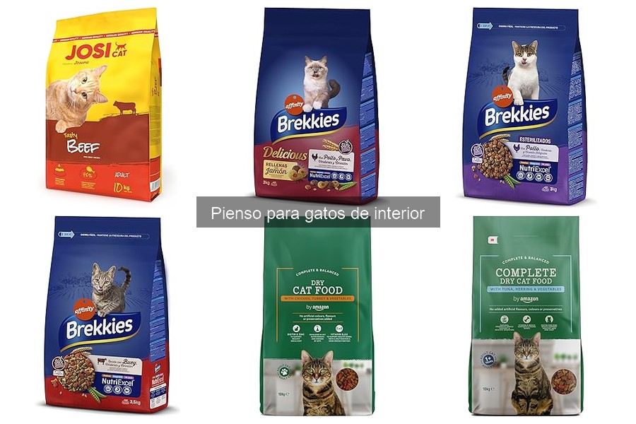 Opiniones sobre pienso para gatos de interior: ¡Descubre lo mejor!