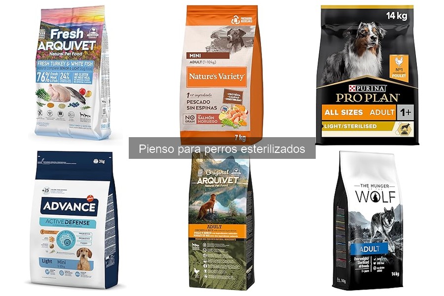 Opiniones sobre pienso para perros esterilizados