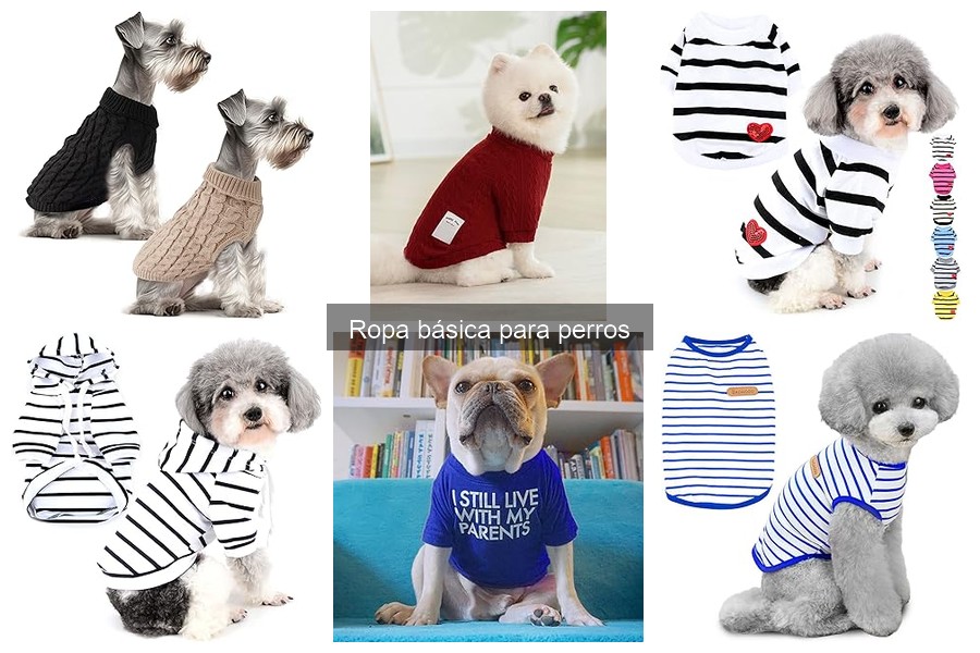 Opiniones sobre Ropa Básica para Perros: Marcas Destacadas
