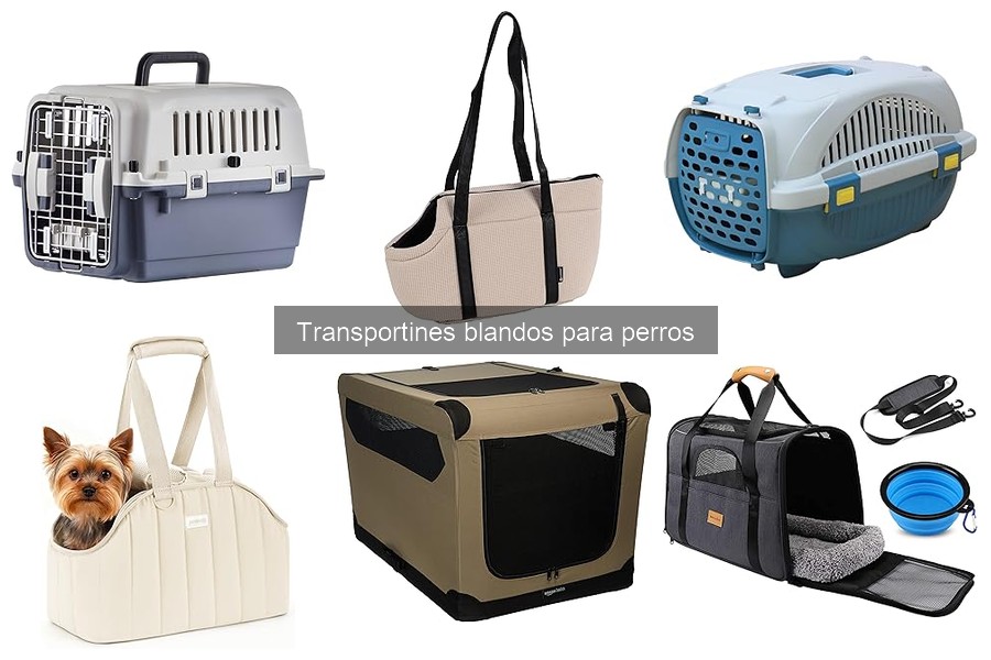 Opiniones sobre transportines blandos para perros: Reseñas reales