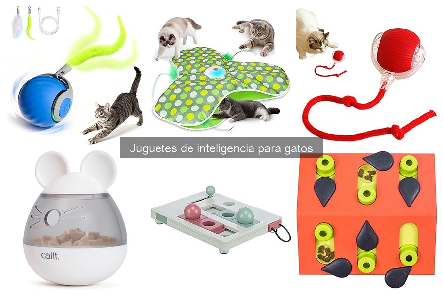 Opiniones y reseñas de juguetes de inteligencia para gatos