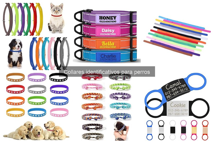 Personaliza el Collares Identificativos para Perros