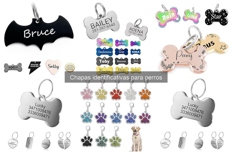 Personaliza la chapa identificativa de tu perro fácilmente