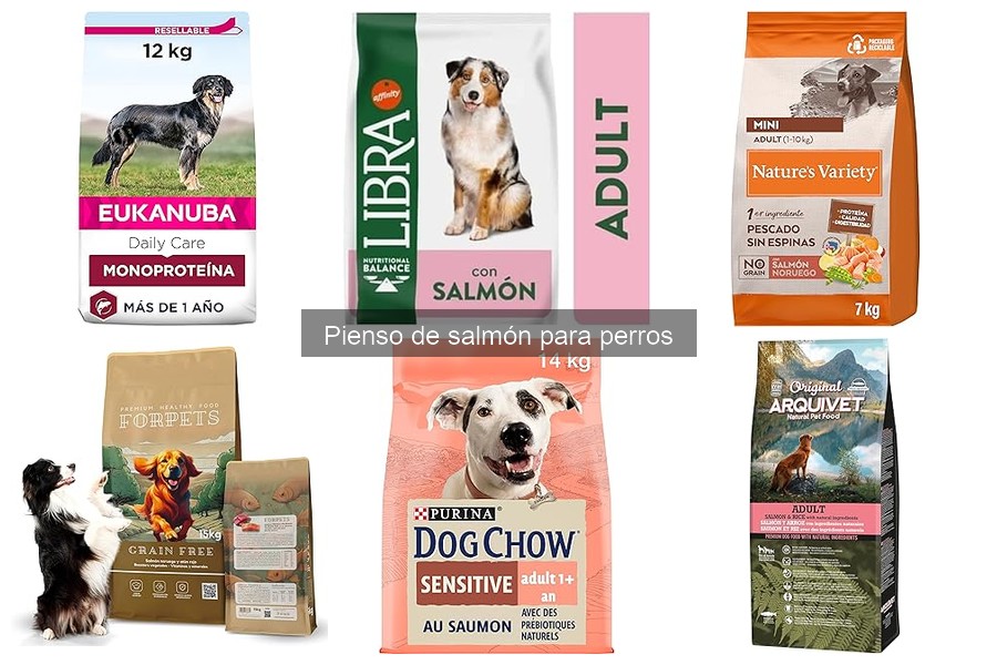 Pienso de salmón: ¿es adecuado para perros con alergias?